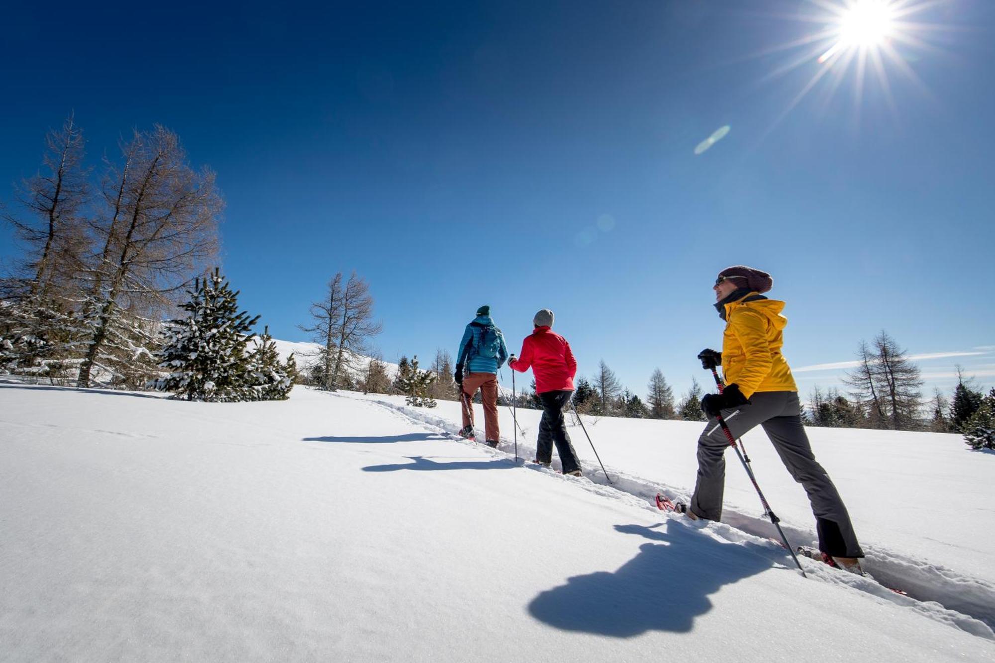 Ferienpark Kreischberg By Alps Resorts Sankt Lorenzen ob Murau Ngoại thất bức ảnh